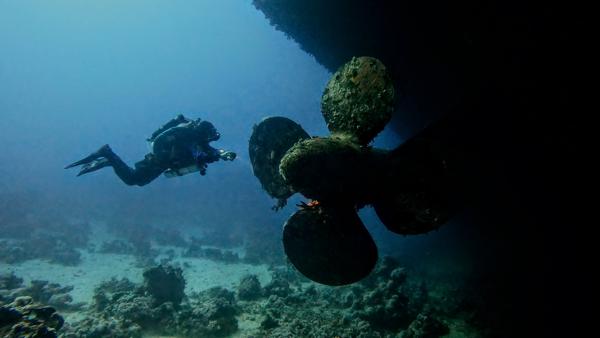 Diving in the Red Sea